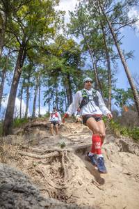 BIB: 
                            <button type="button" onclick="openModal(15932389)" class="btn btn-primary btn-sm float-right btn-popup" data-toggle="modal" data-target=".modal-high-quality">
                        <i class="fas fa-shopping-cart"></i> Add to Cart
                    </button>
                                            <button type="button" onclick="isThisMe(15932389, true)" class="btn btn-success btn-sm float-right btn-popup btn-isme hidden" data-toggle="tooltip" data-placement="bottom" title="นี่คือรูปของคุณใช่ไหม คลิกที่นี่เพื่อเอาเข้าอัลบั้ม">
                        <i class="fas fa-plus"></i> Add to album
                    </button>
                    <button type="button" onclick="isThisMe(15932389, false)" class="btn btn-warning btn-sm float-right btn-popup btn-isnotme hidden">
                        <i class="fas fa-ban"></i> Remove from album
                    </button>